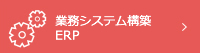 業務システム構築・ERP