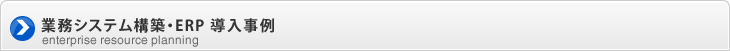 業務システム構築・ERP導入事例