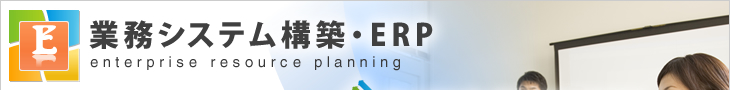 業務システム構築・ERP