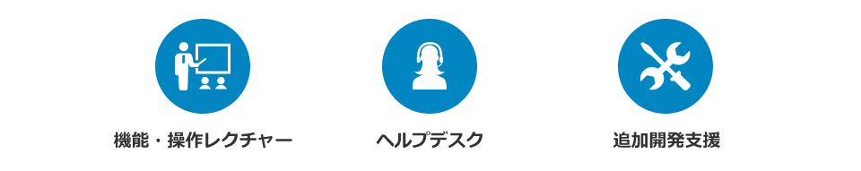 充実したサポートサービス:機能・操作レクチャー、ヘルプデスク、追加開発支援